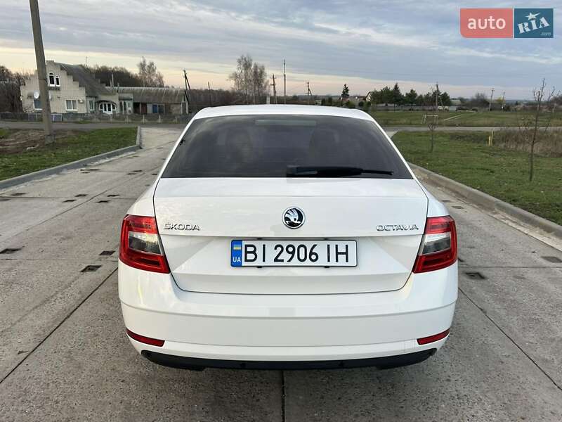 Ліфтбек Skoda Octavia 2019 в Полтаві фото 27 Ліфтбек Skoda Octavia 2019 в Полтаві