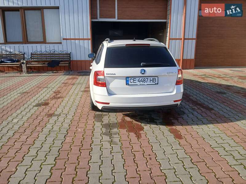 Универсал Skoda Octavia 2020 в Черновцах фото 4 Универсал Skoda Octavia 2020 в Черновцах