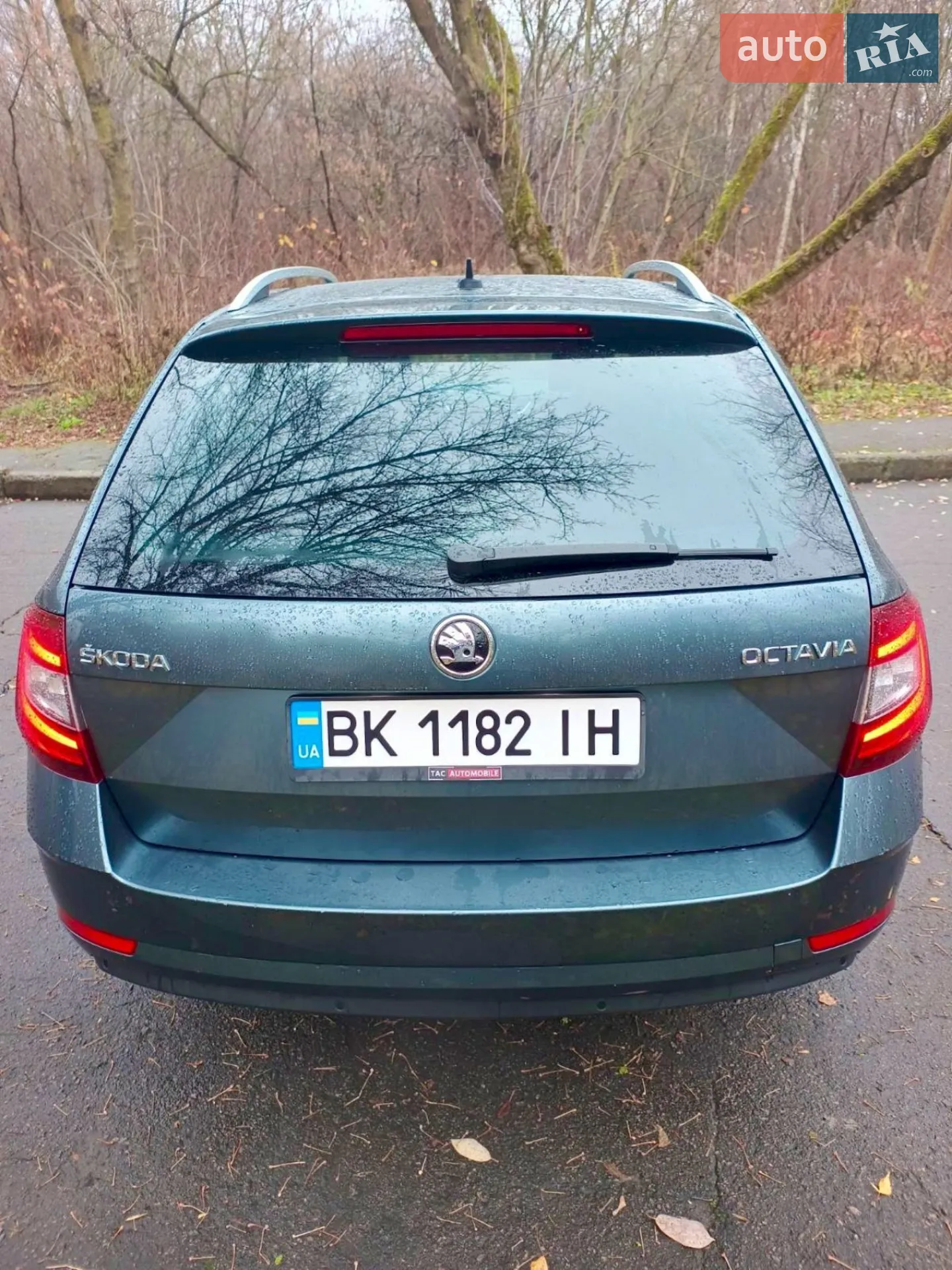 2018 Skoda Octavia - мініатюра 6