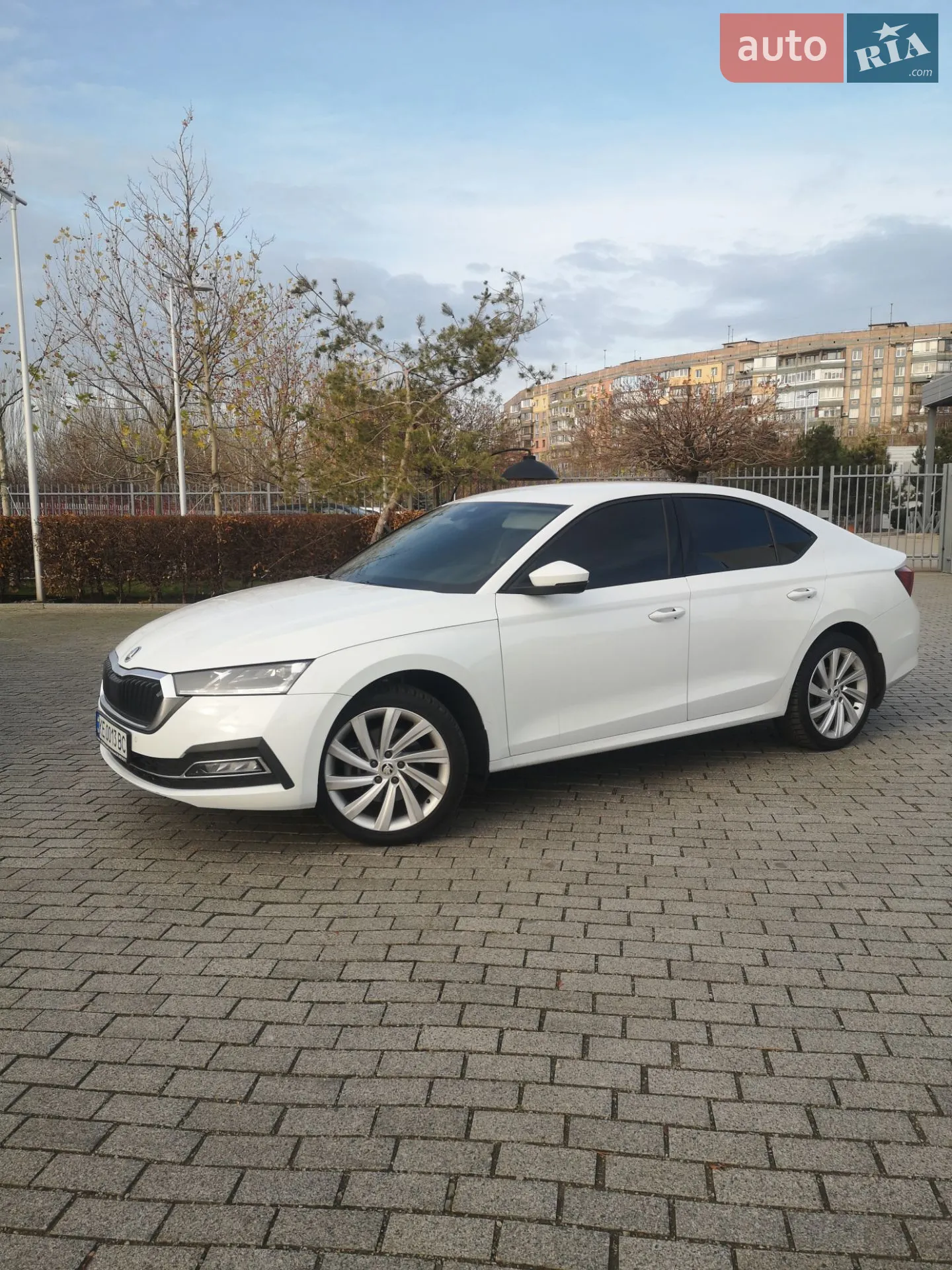 2023 Skoda Octavia - мініатюра 8