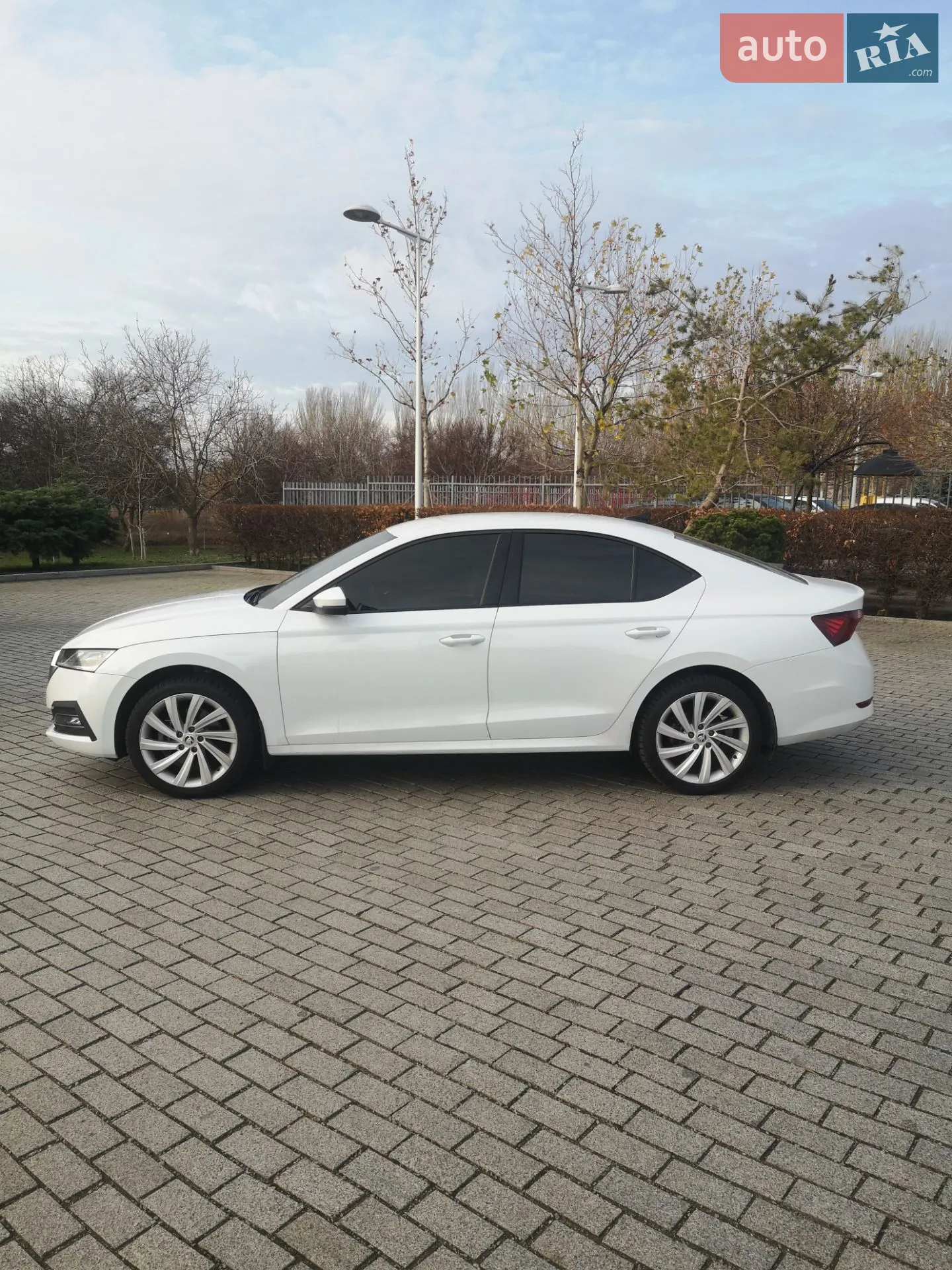 2023 Skoda Octavia - мініатюра 11