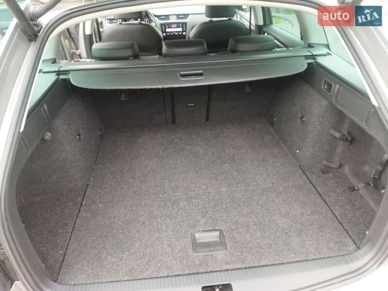 Универсал Skoda Octavia 2019 в Звягеле