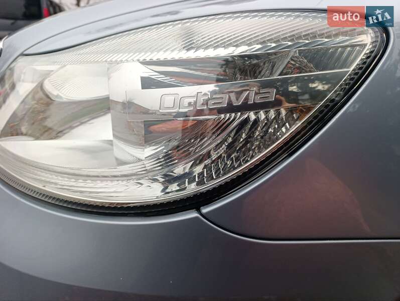 Универсал Skoda Octavia 2009 в Дубно