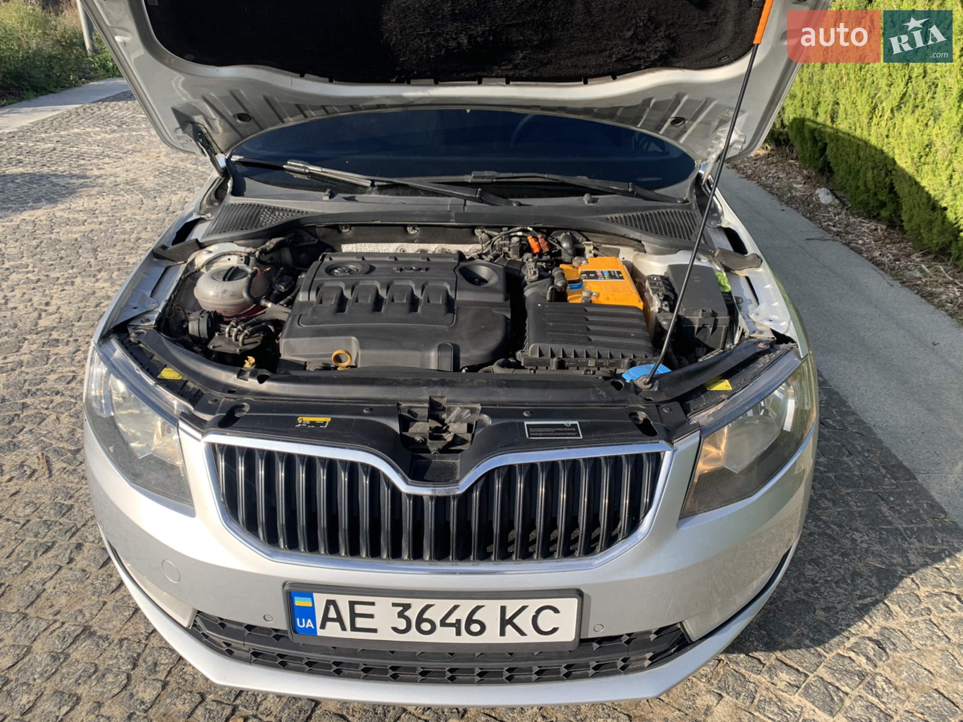 2013 Skoda Octavia - мініатюра 11