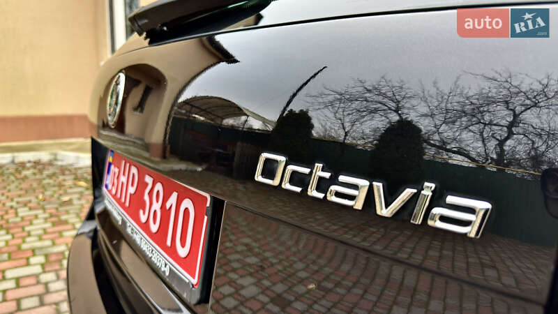Универсал Skoda Octavia 2010 в Хороле