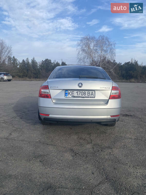 Ліфтбек Skoda Octavia 2019 в Дніпрі