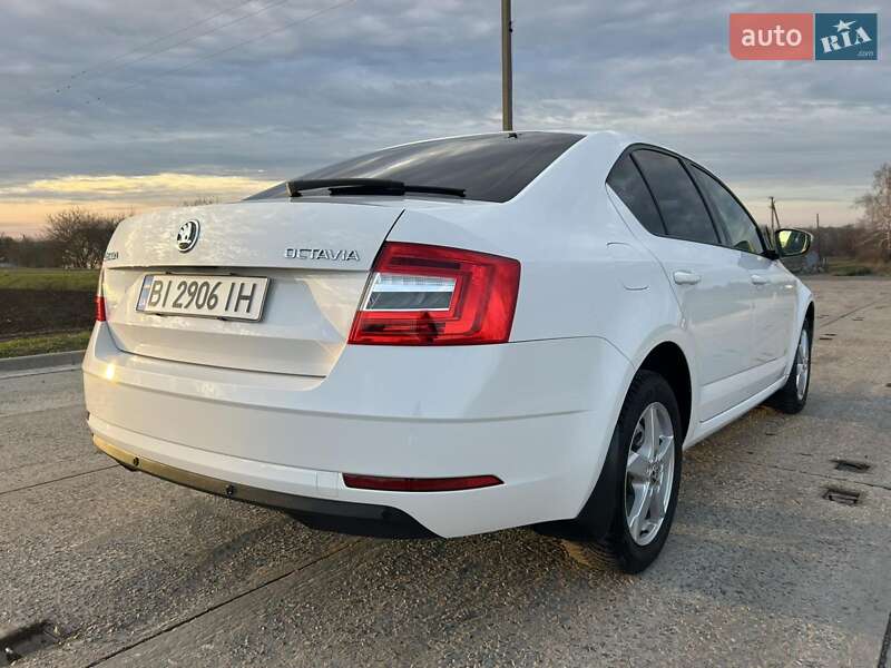 Лифтбек Skoda Octavia 2019 в Полтаве