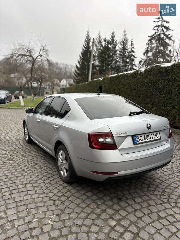 Лифтбек Skoda Octavia 2019 в Львове