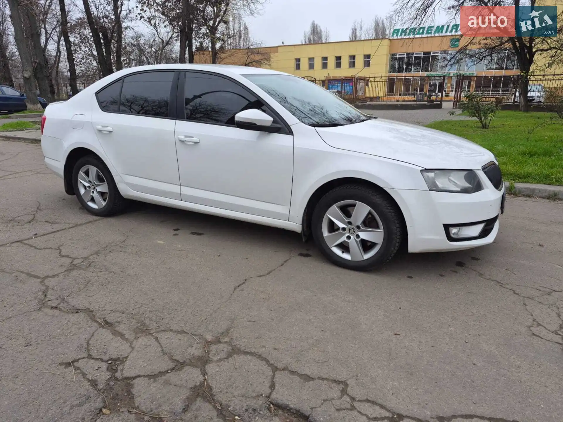 2013 Skoda Octavia - фото 1