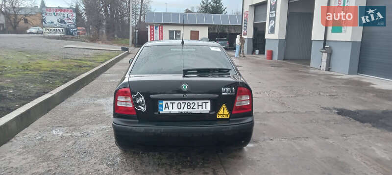 Лифтбек Skoda Octavia 2008 в Бурштыне