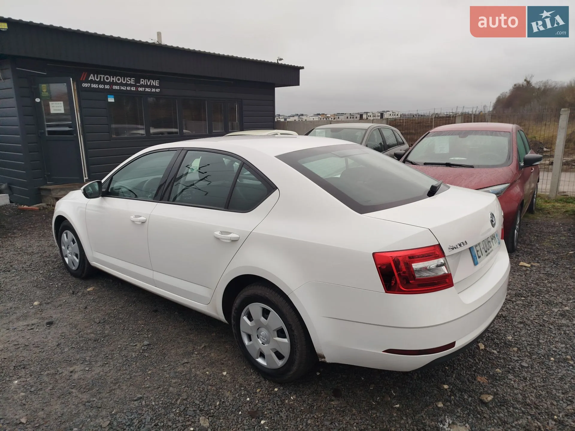 2018 Skoda Octavia - мініатюра 23