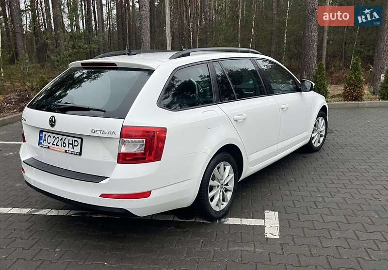 Универсал Skoda Octavia 2015 в Маневичах