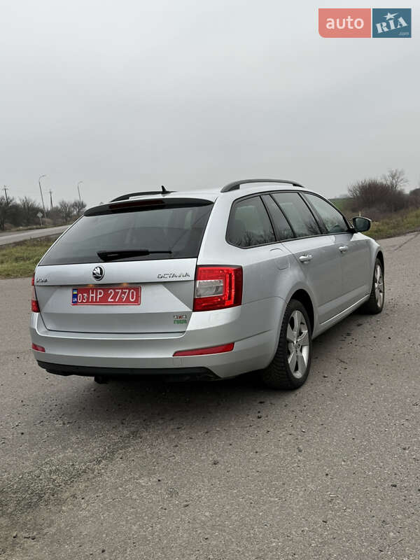 Универсал Skoda Octavia 2014 в Великой Багачке