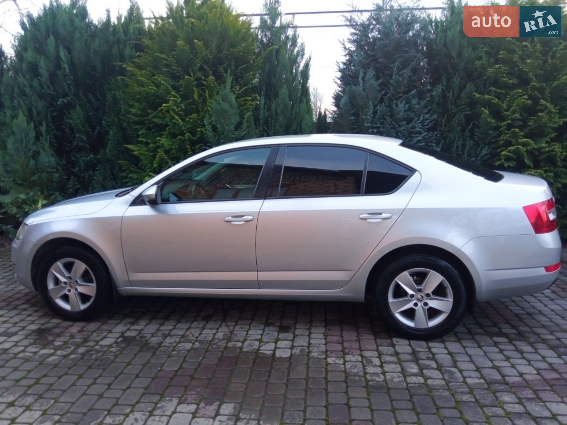 2014 Skoda Octavia - фото 1