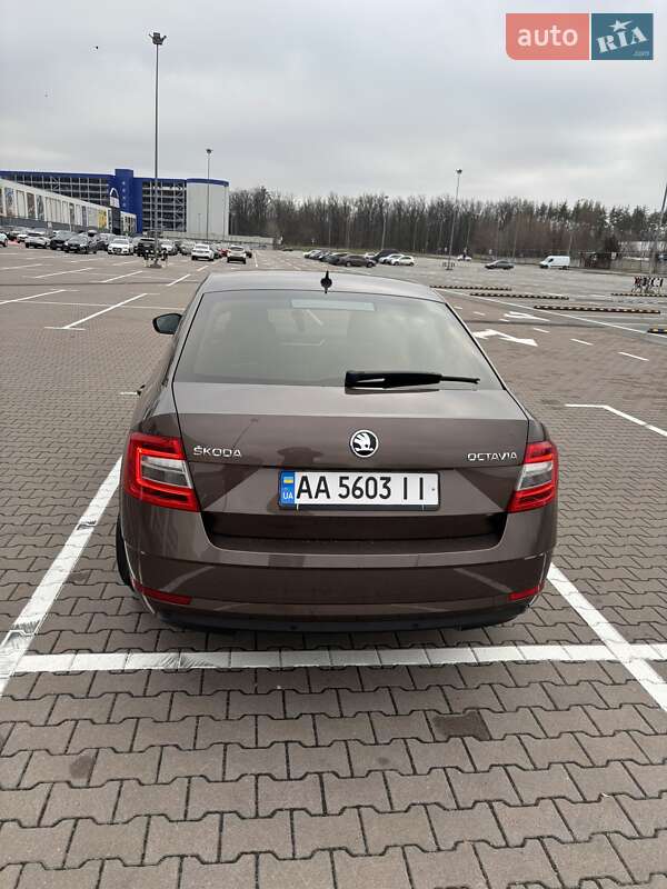 Лифтбек Skoda Octavia 2019 в Киеве фото 4 Лифтбек Skoda Octavia 2019 в Киеве