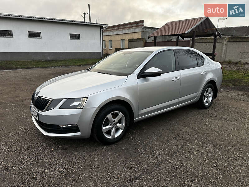 Лифтбек Skoda Octavia 2019 в Первомайске фото 6 Лифтбек Skoda Octavia 2019 в Первомайске