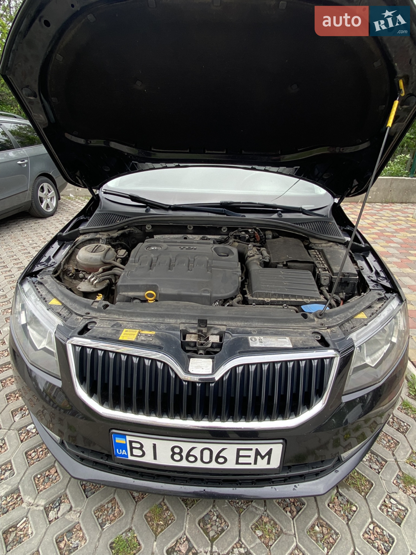 2016 Skoda Octavia - мініатюра 25