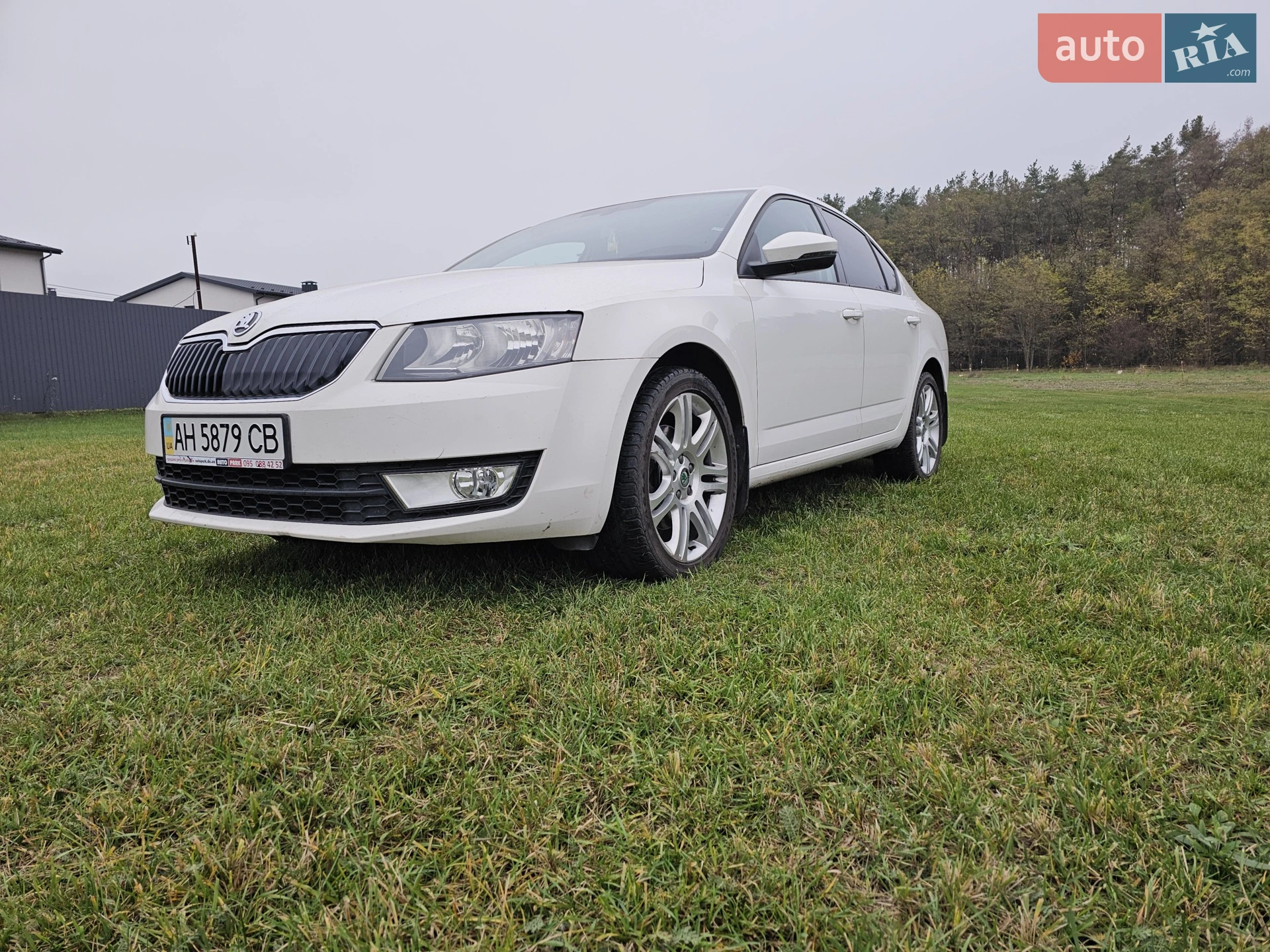 2013 Skoda Octavia - мініатюра 13