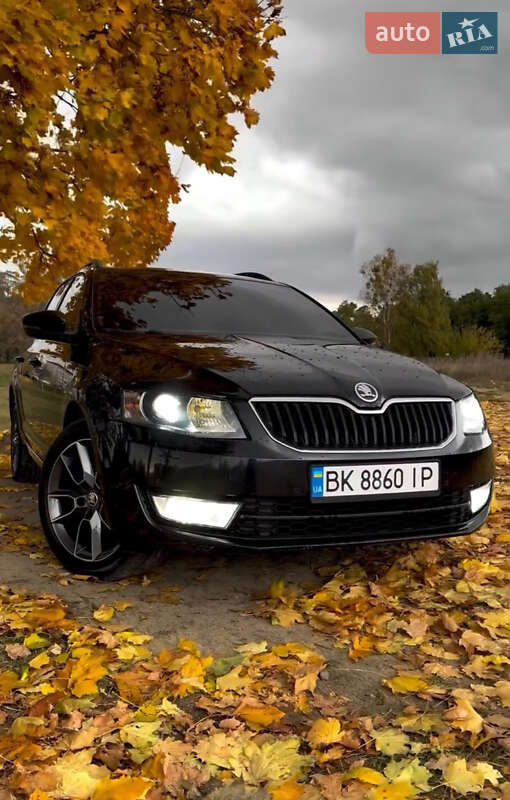 Skoda Octavia 2013 Skoda Octavia 2013