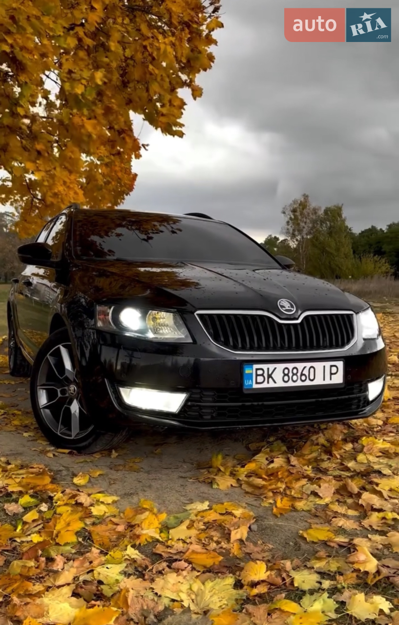 2014 Skoda Octavia - мініатюра 22