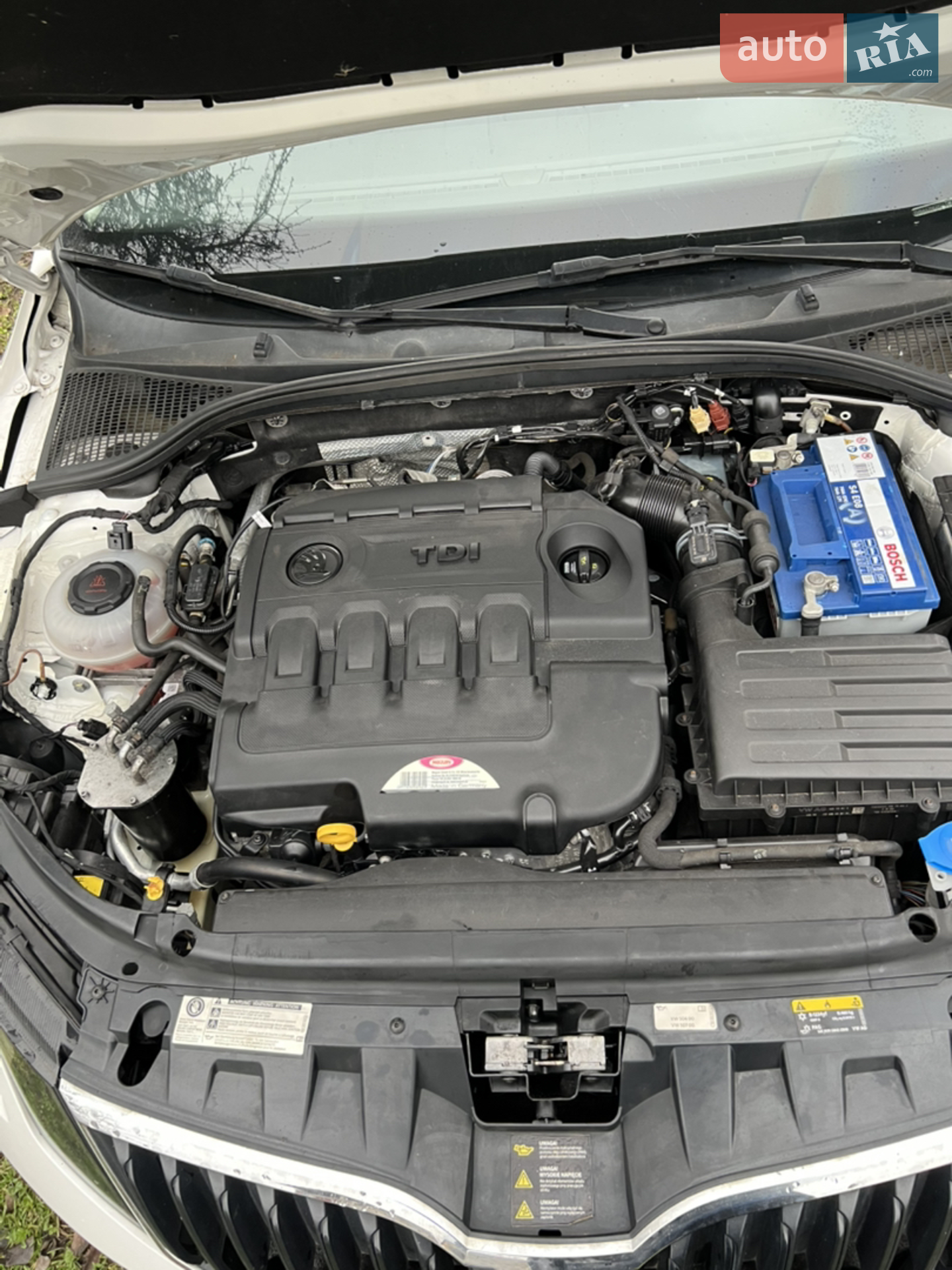 2019 Skoda Octavia - мініатюра 10