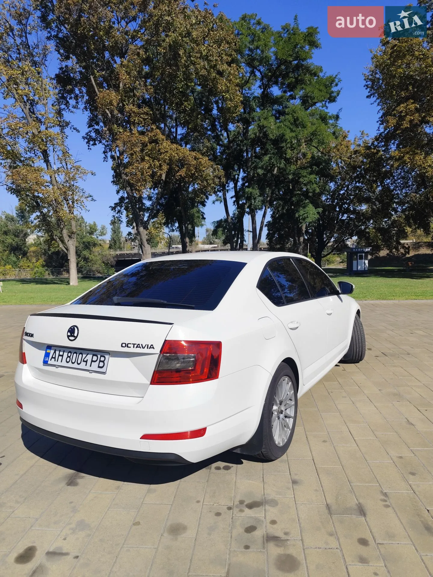 2016 Skoda Octavia - мініатюра 10