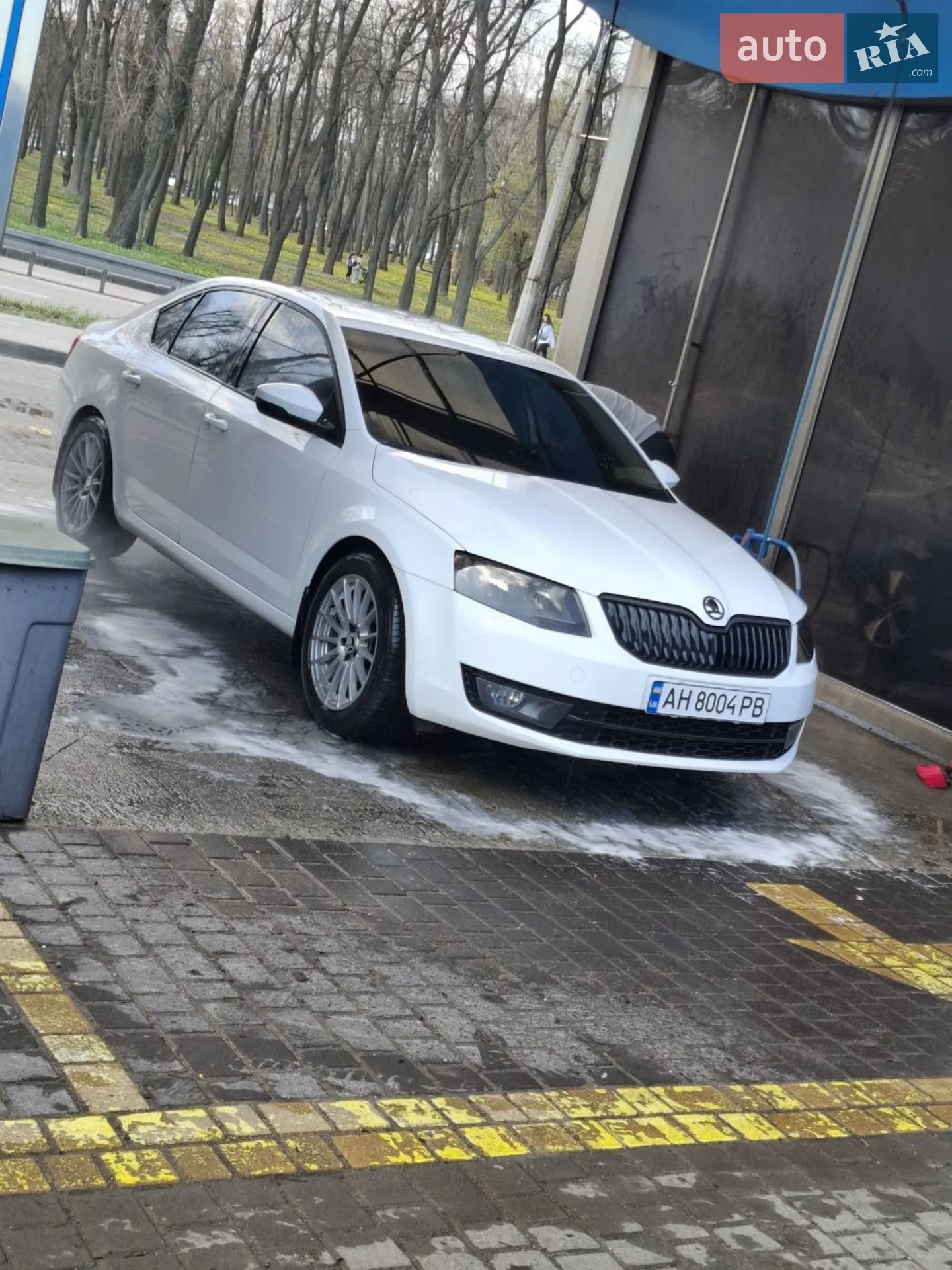 2016 Skoda Octavia - мініатюра 4