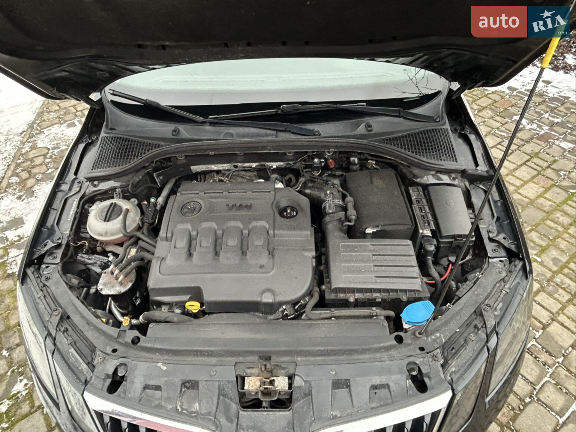 2017 Skoda Octavia - мініатюра 14