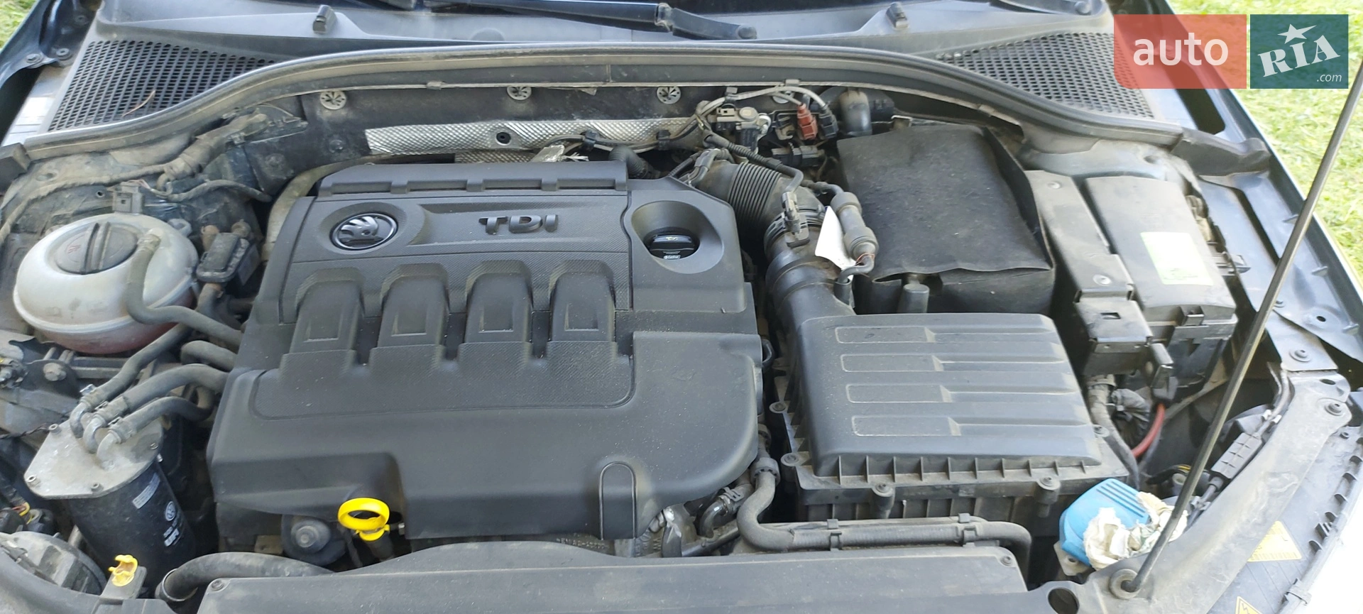 2016 Skoda Octavia - мініатюра 30