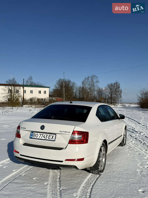 Ліфтбек Skoda Octavia 2013 в Тернополі фото 12 Ліфтбек Skoda Octavia 2013 в Тернополі