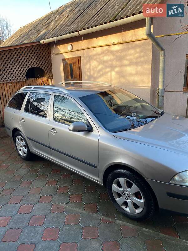 Универсал Skoda Octavia 2007 в Великом Березном