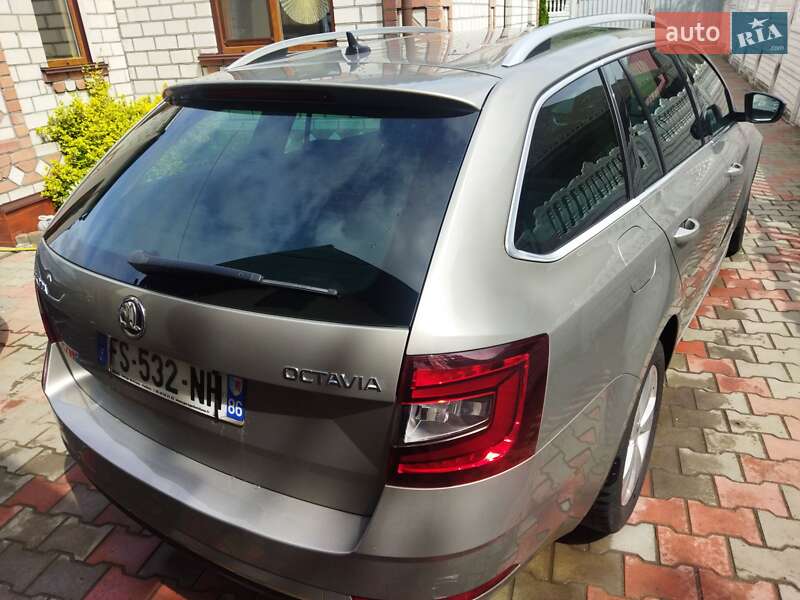 Универсал Skoda Octavia 2019 в Звягеле фото 27 Универсал Skoda Octavia 2019 в Звягеле
