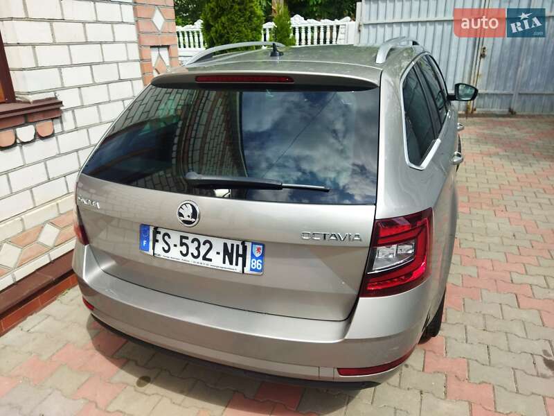 Универсал Skoda Octavia 2019 в Звягеле фото 44 Универсал Skoda Octavia 2019 в Звягеле