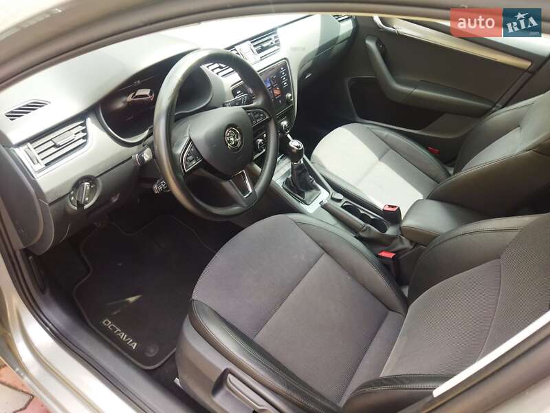 Универсал Skoda Octavia 2019 в Звягеле фото 38 Универсал Skoda Octavia 2019 в Звягеле