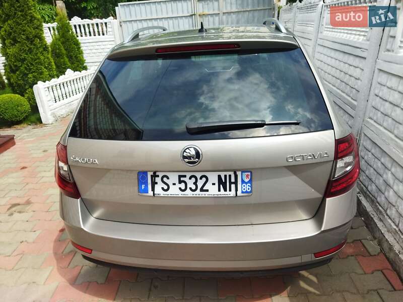 Универсал Skoda Octavia 2019 в Звягеле фото 50 Универсал Skoda Octavia 2019 в Звягеле