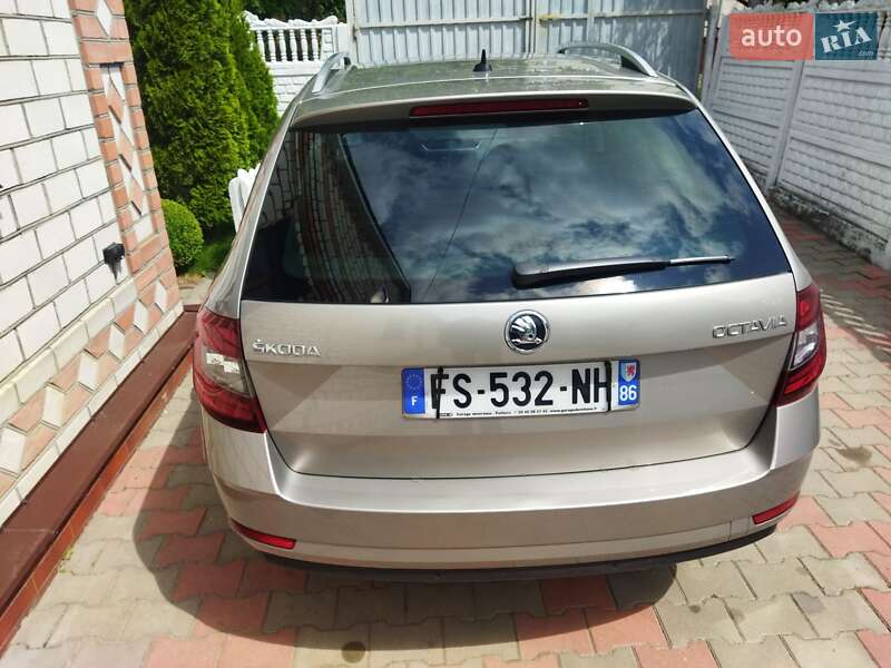 Универсал Skoda Octavia 2019 в Звягеле фото 66 Универсал Skoda Octavia 2019 в Звягеле