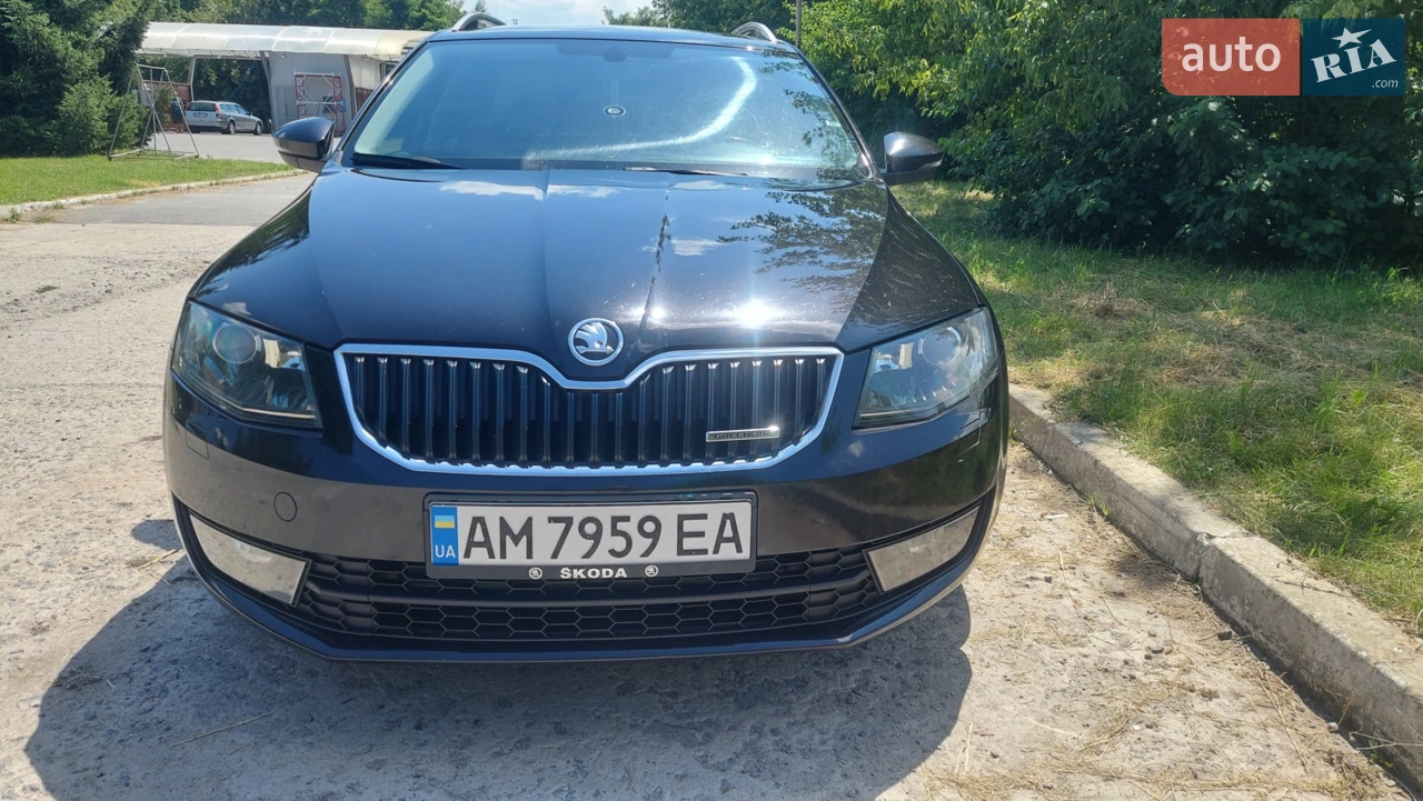 2013 Skoda Octavia - мініатюра 31