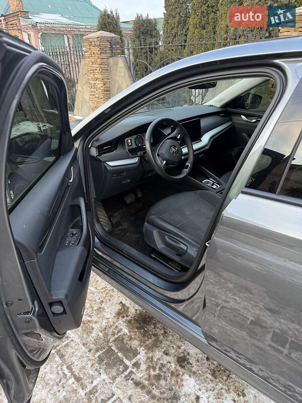 Лифтбек Skoda Octavia 2024 в Кривом Роге