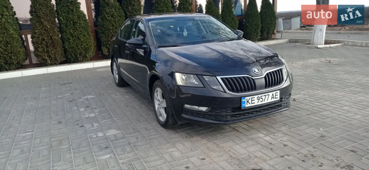 2019 Skoda Octavia - мініатюра 6