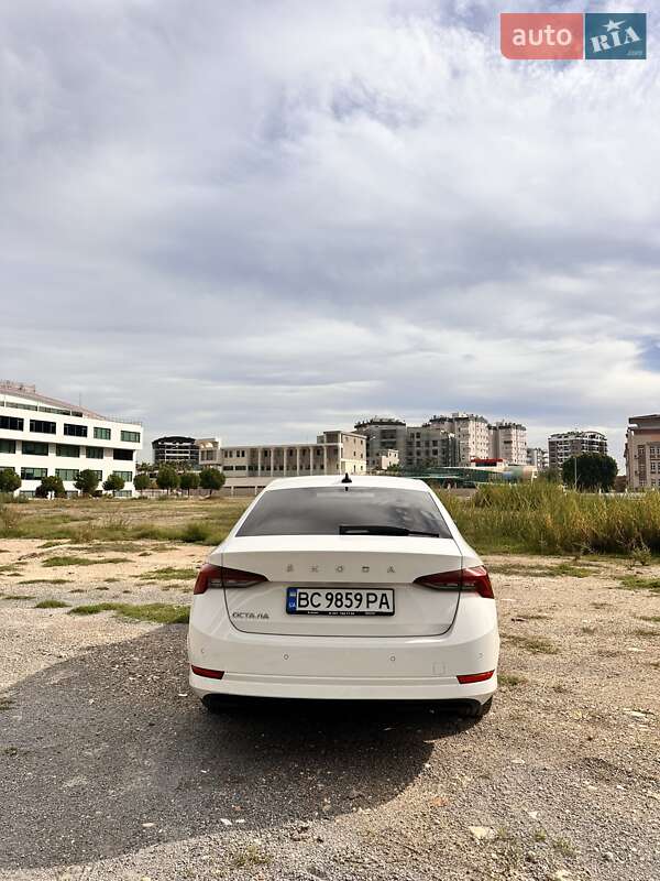 Лифтбек Skoda Octavia 2021 в Светловодске фото 6 Лифтбек Skoda Octavia 2021 в Светловодске