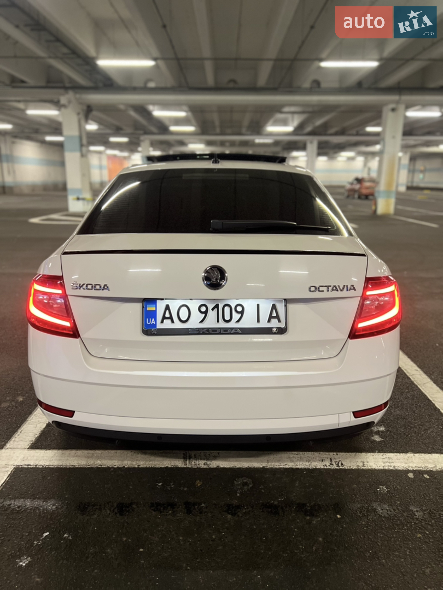 2019 Skoda Octavia - мініатюра 13