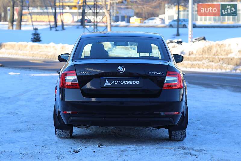 Лифтбек Skoda Octavia 2019 в Киеве фото 6 Лифтбек Skoda Octavia 2019 в Киеве