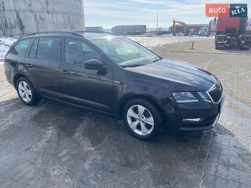 Skoda Octavia 2019 Skoda Octavia 2019