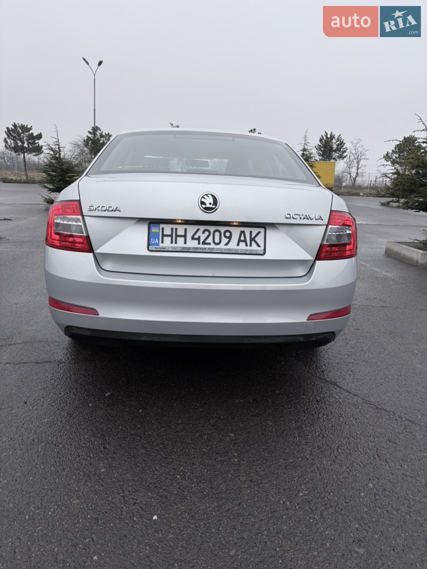 2016 Skoda Octavia - мініатюра 12
