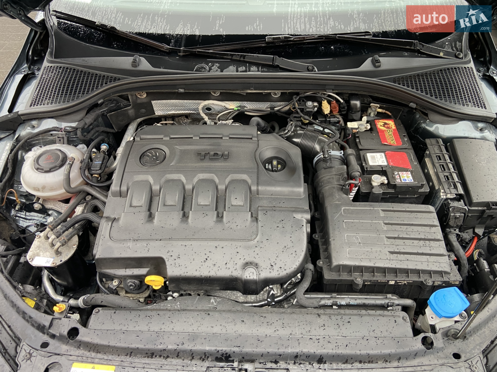 2019 Skoda Octavia - мініатюра 22