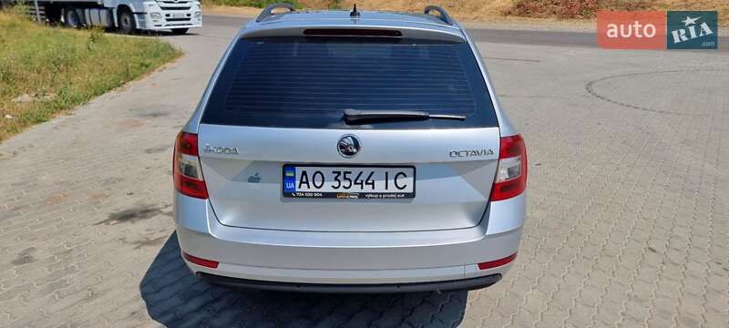 Универсал Skoda Octavia 2018 в Виноградове