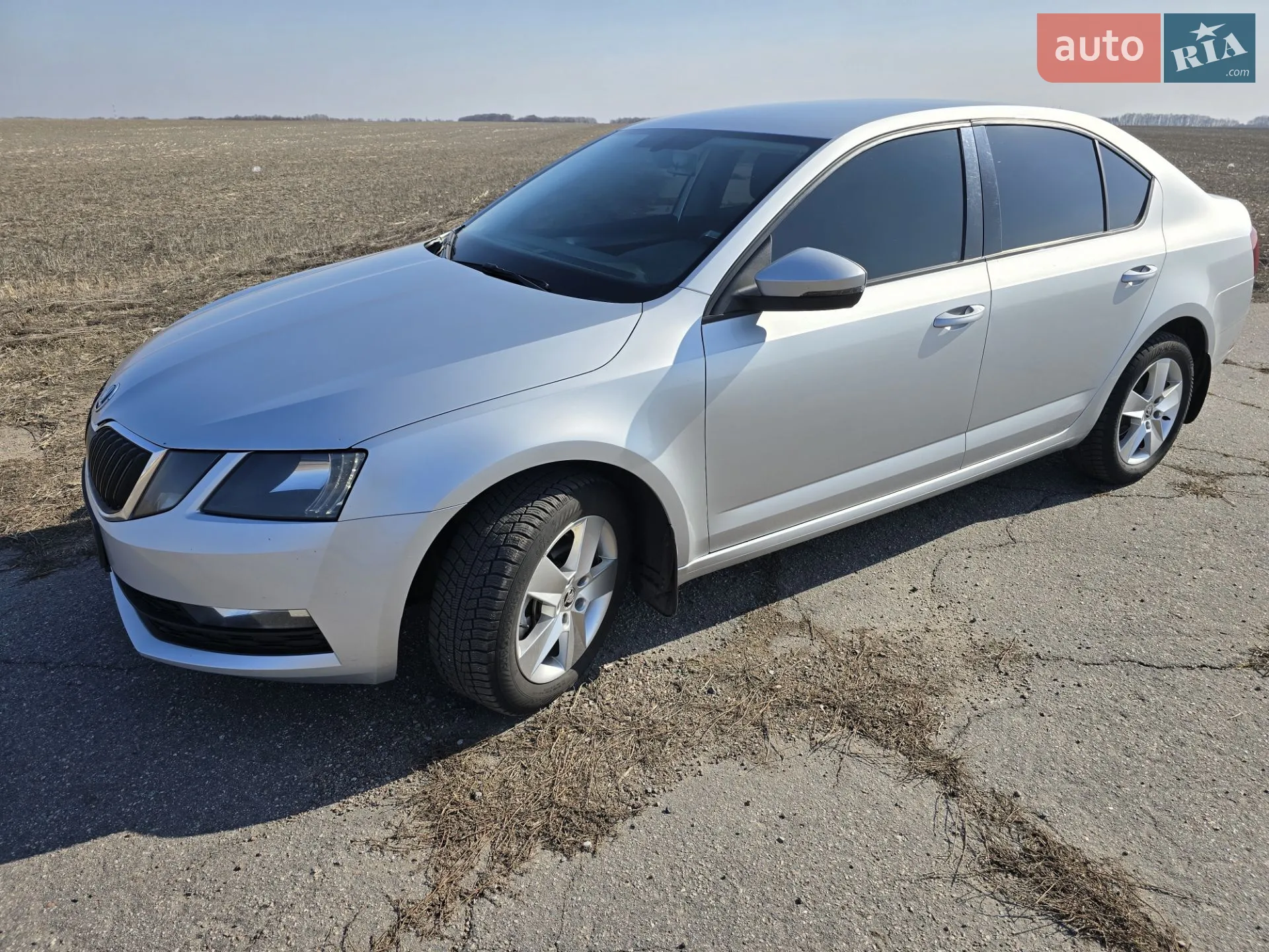 2017 Skoda Octavia - мініатюра 7