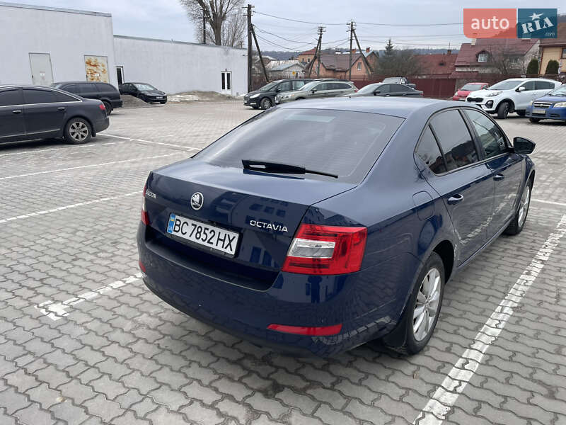 Лифтбек Skoda Octavia 2013 в Львове