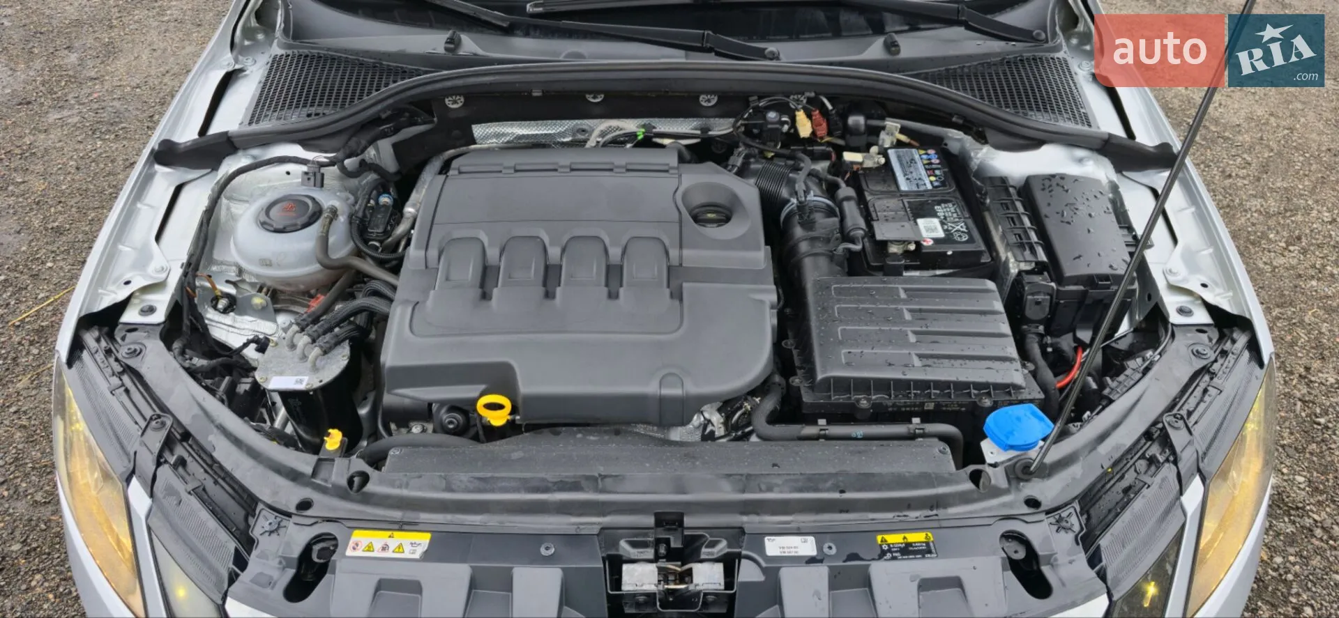 2020 Skoda Octavia - мініатюра 13