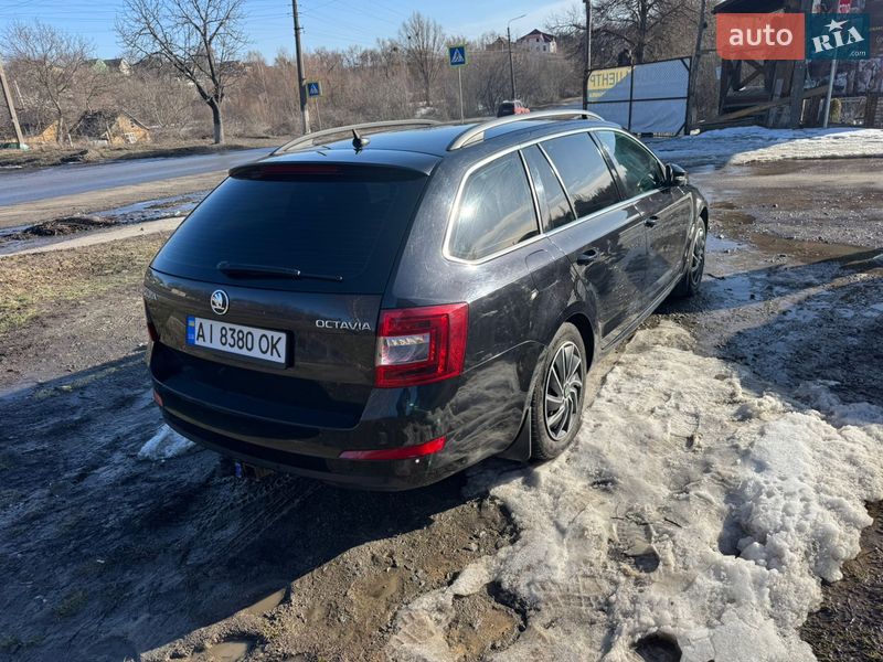 Универсал Skoda Octavia 2015 в Кагарлыке
